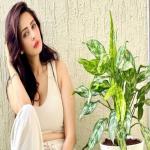 रोहित रॉय के डस्टबिन मीडियम वाले बयान से चाहत खन्ना सहमत, बोलीं- कहानी और क्रिएटिविटी में टीवी कहीं नहीं