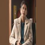 चितेरी लोक कला से आत्मनिर्भरता की मिसाल, झांसी की प्रतिभा बनीं सफल उद्यमी