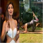 शिल्पा शेट्टी ने बताया व्याघ्रासन का महत्व, कहा- दिमाग और बॉडी के बीच बेहतर तालमेल बनाता है
