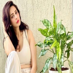 रोहित रॉय के डस्टबिन मीडियम वाले बयान से चाहत खन्ना सहमत, बोलीं- कहानी और क्रिएटिविटी में टीवी कहीं नहीं