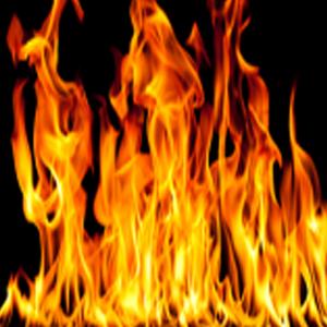 तमिलनाडु के जंगल में आग में मरने वालों की संख्या 11 हुई