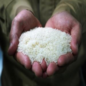 तमिलनाडु में चावल महंगा, धान की कमी से पोन्नी समेत कई किस्मों के दाम बढ़े
