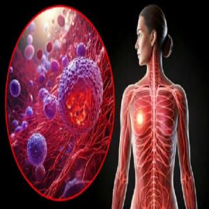 वार्षिक मैमोग्राम से बेहतर रिस्क-बेस्ड स्क्रीनिंग, 46,000 महिलाओं के ट्रायल में साबित