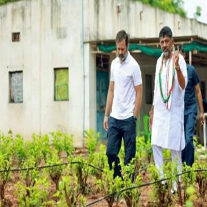 राहुल से मिले शिवकुमार, कर्नाटक मंत्रिमंडल चयन में बड़ी भूमिका का मिला प्रस्ताव