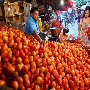 टमाटर हुआ लाल, दिल्ली में 70 रुपये किलो हुआ भाव