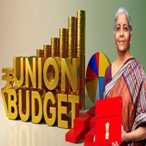 बजट 2026 से आधी आबादी और रियल एस्टेट सेक्टर को क्या हैं उम्मीदें? जानें क्या कहते हैं एक्सपर्ट्स
