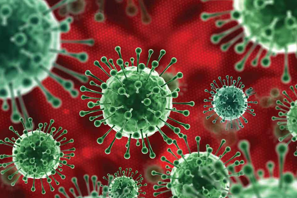 संक्रमण के कम से कम 9 महीने बाद भी कोविड एंटीबॉडीज बनी रहती है: अध्ययन