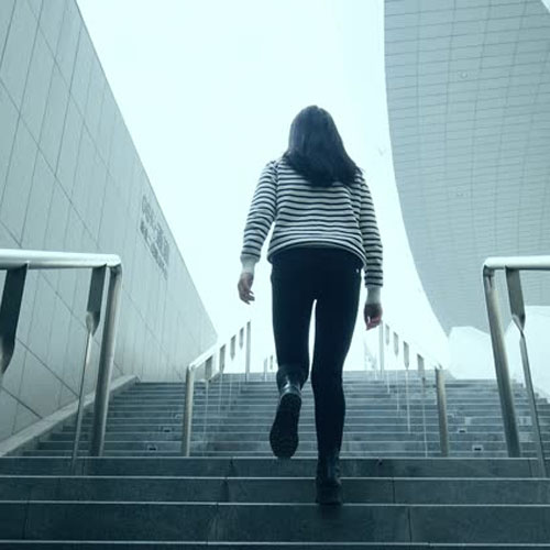 Health Tips: सीढ़ियां चढ़ने से कम हो जाती है पेट की चर्बी, जानिए क्या है सही तरीका