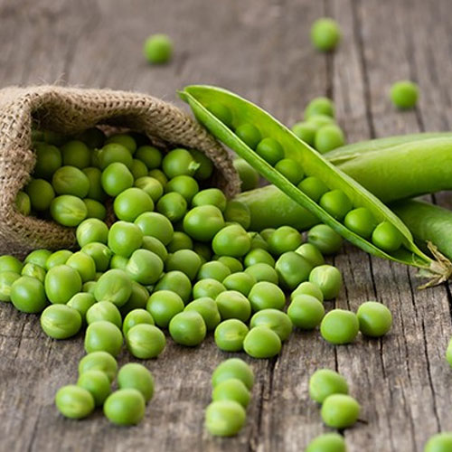 मटर मतलब सर्दियों का सुपरफूड, सेवन से दिल से लेकर दिमाग तक हो जाए दुरुस्त