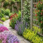 खाली पड़े गार्डन को फूलों और हरियाली से भरने के लिए 6 सबसे बेहतरीन और फास्ट ग्रोइंग पौधे