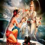 शिव-गौरी उपासना का दिव्य पर्व, महाशिवरात्रि पर सर्वार्थ सिद्धि योग, नोट कर लें भद्रा का समय 
