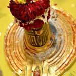 18 अप्रैल का पंचांग : बैशाख शुक्ल की प्रतिपदा तिथि, नोट कर लें शुभ-अशुभ समय 
