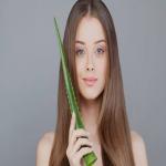 Beauty Tips : बालों की कायापलट कर देगा एलोवेरा: इन 5 घरेलू तरीकों से पाएं पार्लर जैसा निखार

