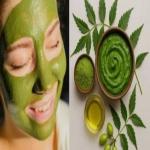 Beauty Tips: चेहरे के जिद्दी दानों से हैं परेशान आजमाएं नीम के ये 4 जादुई और आसान घरेलू फेस पैक्स
