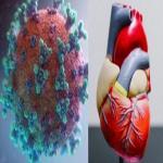 कोविड से उबरे लोगों को 3 महीने के अंदर हृदय रोग, मधुमेह होने का अंदेशा रहता है