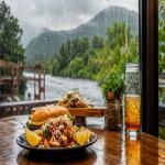 Health Tips : मानसून में भूलकर भी न खाएं ये चीजें, छोटी सी गलती से बिगड़ सकती है सेहत