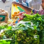Health Tips: मानसून में इन सब्जियों से रहें दूर, सेहत को हो सकता है नुकसान