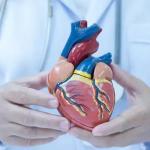 बिना दवाइयों के दूर हो सकती है दिल की बीमारियां, इस रूटीन को करें फॉलो