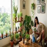 घर के भीतर हरियाली स्ट्रेस दूर करने और सजावट का नया ट्रेंड