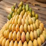 बाजार में मिलने वाला आम स्वास्थ्य के लिए खतरनाक तो नहीं, ऐसे करें आसानी से पहचान
