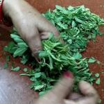 Kitchen Tips: मेथी की सफाई करने में लगता है लंबा समय, तो इन तरीकों से घंटों का काम मिनटों में करें