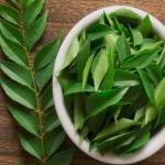 बाजार वाले करी पत्ते में अब नहीं रहा वो स्वाद, घर पर इस तरह उगाएं एकदम ताजा और खुशबूदार मीठा नीम