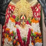 नवरात्र विशेष : भगवती को अति प्रिय ये लाल फल, सेहत के लिए वरदान से कम नहीं 
