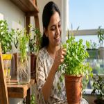 सूप-सब्जी में बेकार समझकर जिसे फेंका वही डंठल बालकनी में उगाएगी ताजा ऑर्गेनिक धनिया!