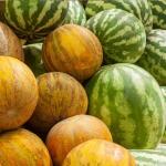 इन फलों की तासीर होती है ठंडी, गर्मियों में जरूर खाएं