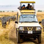 Travel Tips: जंगल सफारी के दौरान न करें ये गलतियां, इन बातों का रखें ध्यान