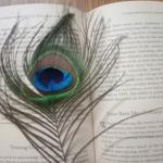 Vastu Tips: क्या किताब में मोर पंख रखने से सच में बदल जाती है किस्मत