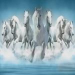 Vastu Tips: सात घोड़ों की तस्वीर से जुड़ी वो गुप्त बातें जो बहुत कम लोग जानते हैं