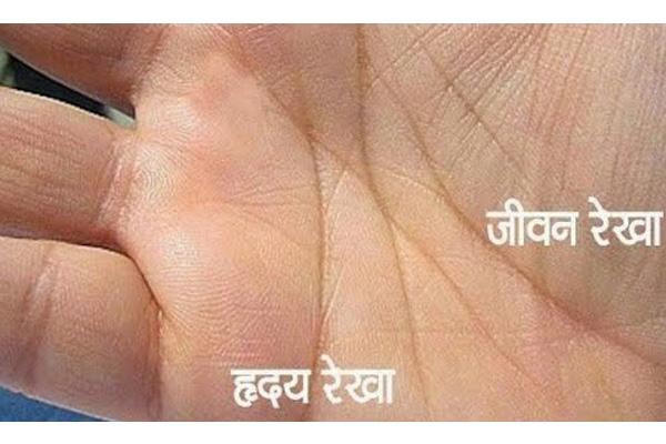 हस्तरेखा बताती है कि किस देवता की पूजा से होंगे रातोंरात चमत्कार 