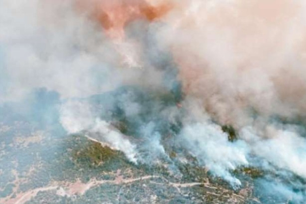कैलिफोर्निया के जंगल में भीषण आग, 19 की मौत