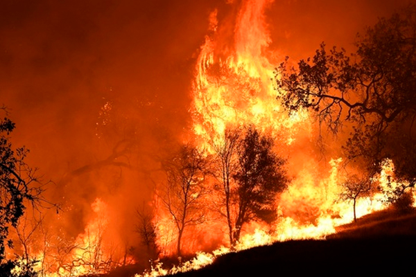 कैलिफोर्निया : जंगल में आग से मरने वालों की संख्या 31 हुई