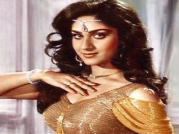 आसान नहीं था मीनाक्षी शेषाद्रि के लिए हम न हम रहे गाना शूट करना, 104 डिग्री बुखार में किया था काम 