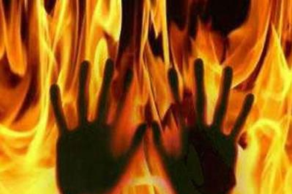 Rajasthan: जोधपुर में पेड़ काटने से रोकने पर महिला को जिंदा जलाया