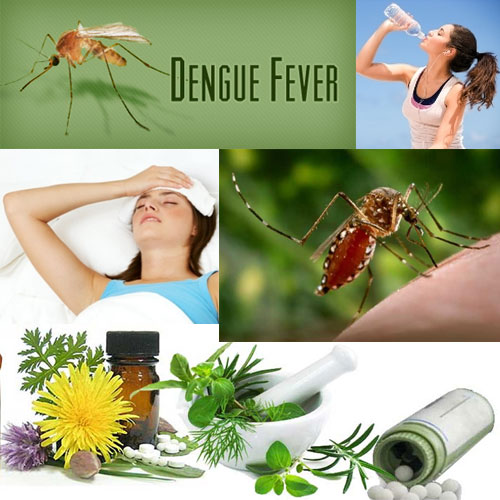 10 घरेलू टिप्स: डेंगू बुखार से बचने के