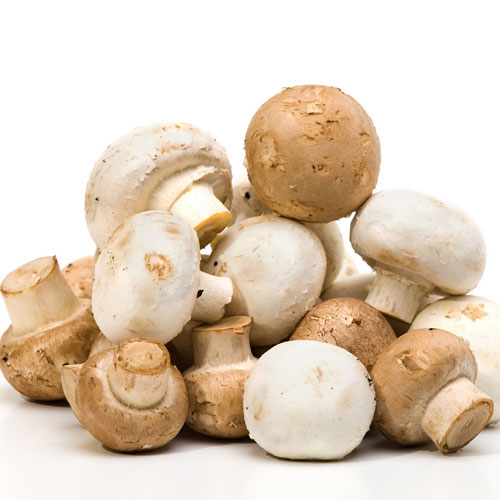 7 हैल्थ Benefits जानिए Mushroom के