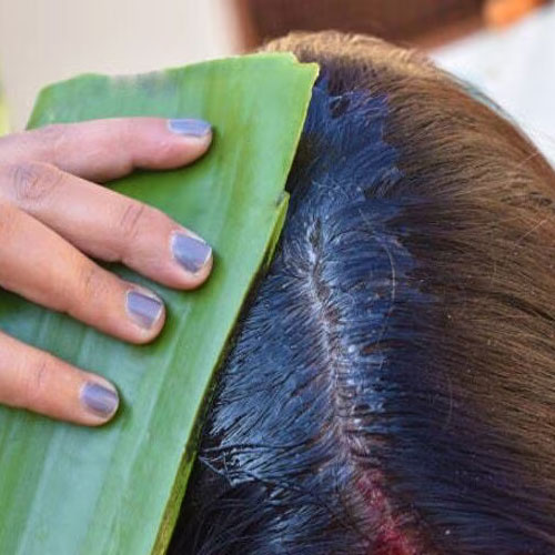 बालों के लिए नेचुरल हेयर कंडीशनर है एलोवेरा, इस तरह करें इस्तेमाल