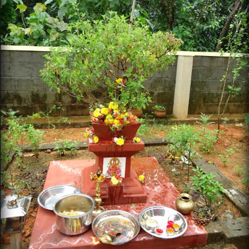 मां तुलसी की पूजा से घर में आएं धन ही धन