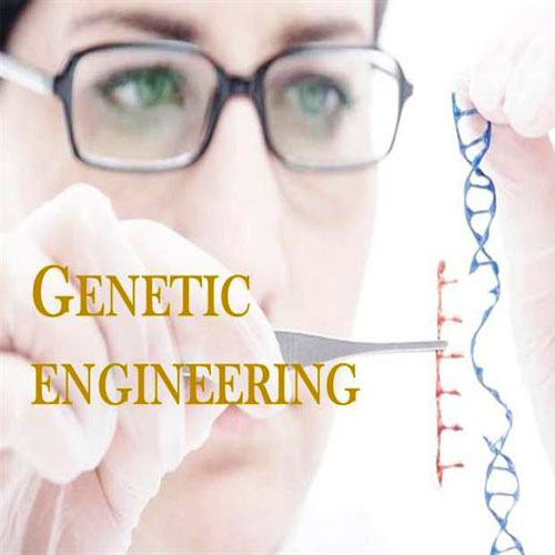 Genetic engineering में पाएं बेहतर Career
