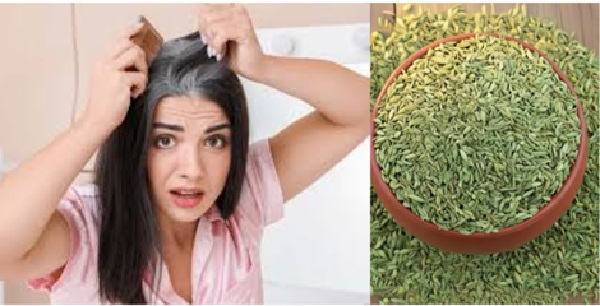 Beauty Care : क्या कम उम्र में सफेद बाल बन रहे हैं परेशानी? सौंफ देगा बालों को नेचुरल हेयर कलर
