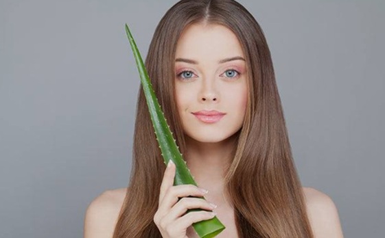 Beauty Tips : बालों की कायापलट कर देगा एलोवेरा: इन 5 घरेलू तरीकों से पाएं पार्लर जैसा निखार
