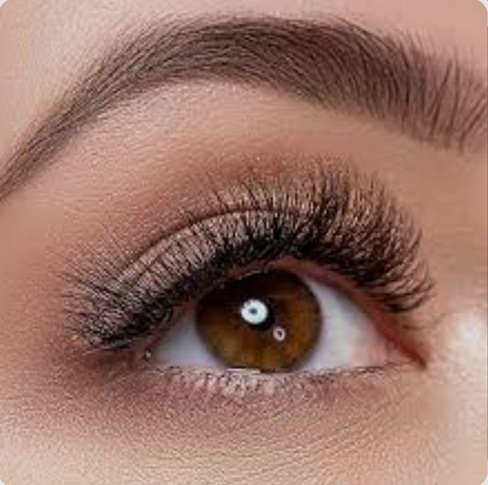Beauty Tips : आईब्रो पेंसिल को कहें गुडबाय, इन 3 अनोखे नेचुरल हैक्स से पाएं बोल्ड और ब्यूटीफुल आइब्रो
