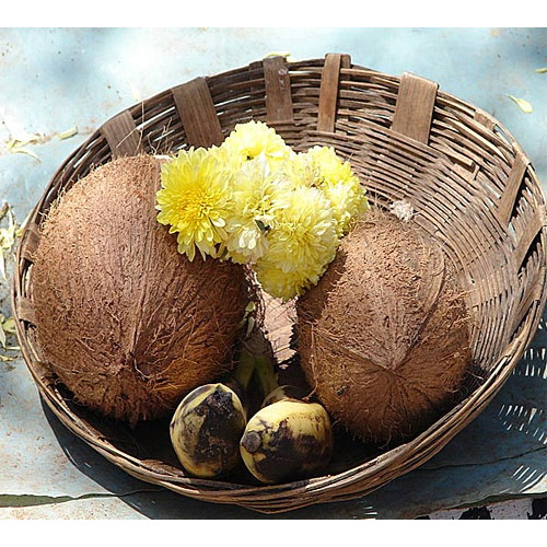 जानिए: नारियल के शुभ लाभ के बारे में 