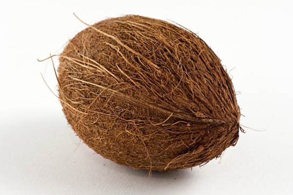 खुद को शनि की छाया से दूर 
करने के लिए करें नारियल का ये उपाय