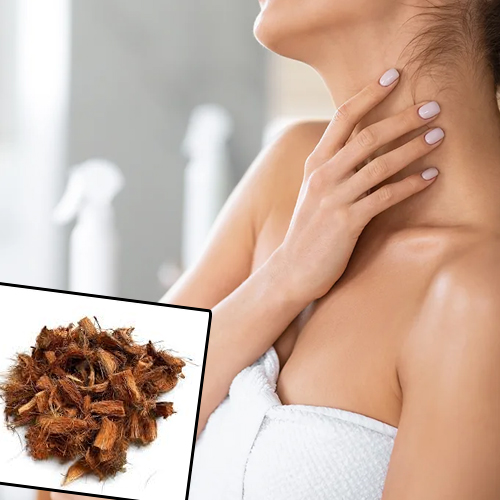 नारियल के छिलके से तुरंत चमक जाएगी गर्दन, इस तरह करें साफ