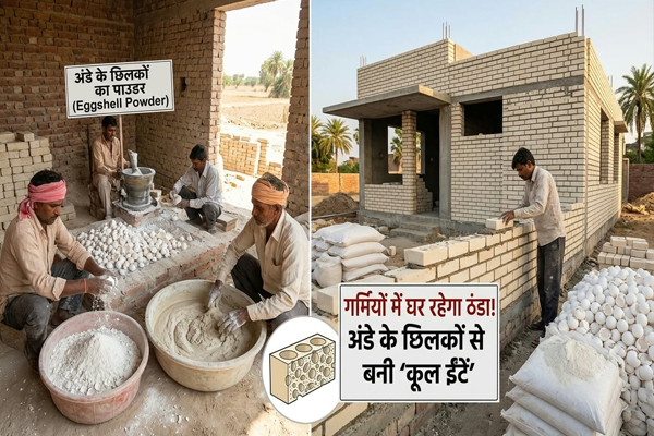 अंडे के छिलकों से बनेंगी ठंडी ईंटें, अब भीषण गर्मी में भी एसी की जरूरत होगी कम