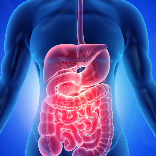 रात में सोने से पहले करें ये आयुर्वेदिक उपाय, सुबह साफ और हल्का होगा पेट
